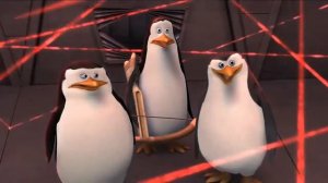 пингвины из мадагаскара))