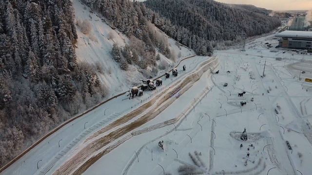 ХАНТЫМансийск родина слонов смотреть онлайн