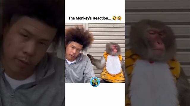 улетная прическа