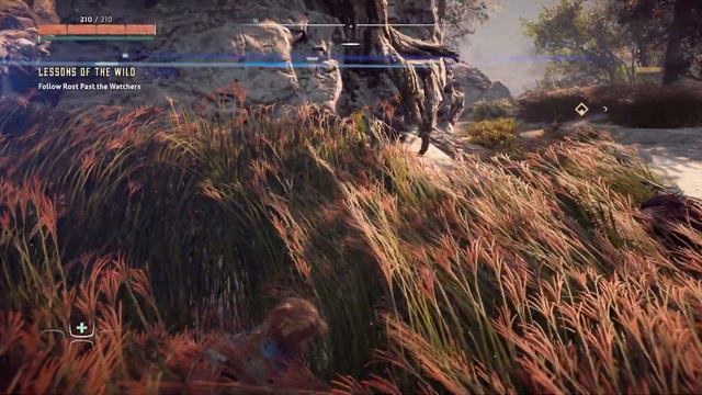 Getting Ready For Forbbiden West: Horzion Zero Dawn Lets Play Part 1: A Gift From The Past смотреть онлайн