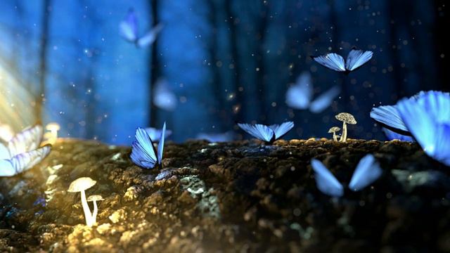 Blue Butterflies Animated WallpaperBEST WALLPAPER PC Live Wallpaper 4K