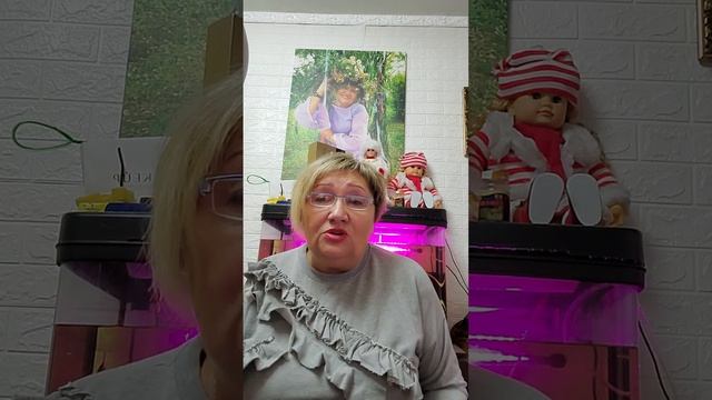 что положить под подушку,что бы ноябрь был красным смотреть онлайн