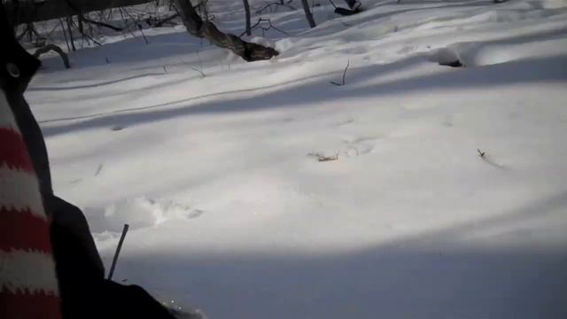 Craig vs. Wild - Winter Survival смотреть онлайн