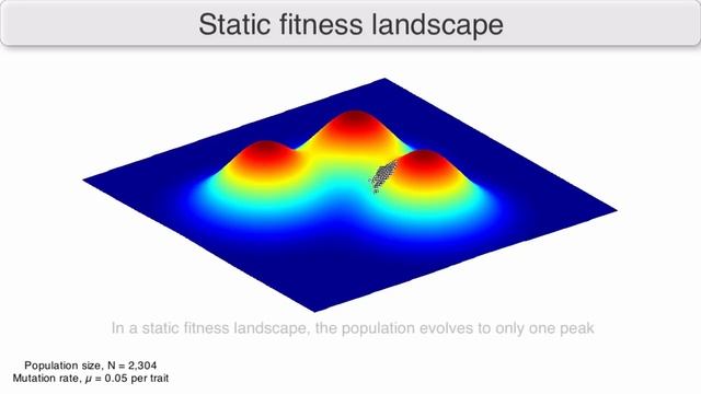 Using fitness landscapes to visualize evolution in action смотреть онлайн