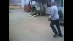 землетрясение в японии 2011г. 11 марта