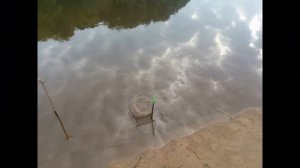 рыбалка на фидер на десне