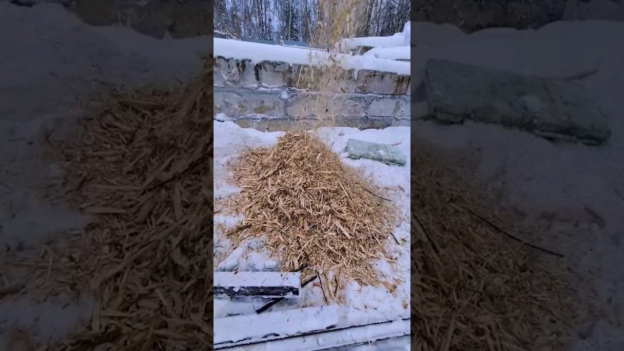 Нужно решение для комплексного подхода к деревообработке? Обращайтесь к нам смотреть онлайн