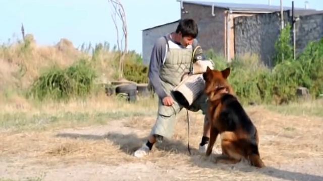 Блек Джек с Азовского Берега смотреть онлайн