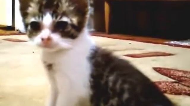 №5 Первые игры смотреть онлайн