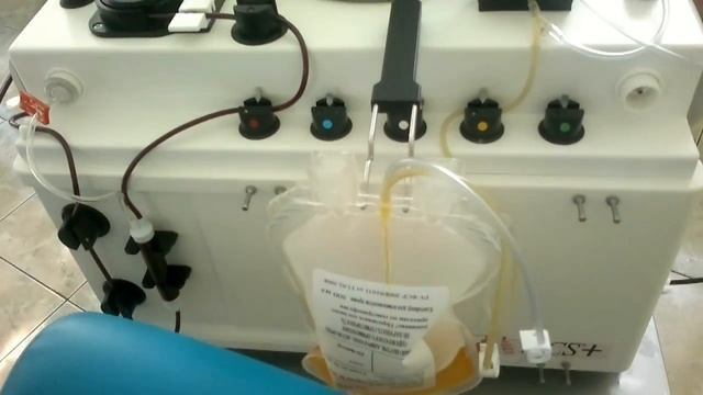 Сдача плазмы смотреть онлайн