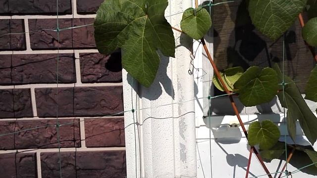 Альта профиль, НЕ ПОКУПАЙТЕ, облезла краска через 5 лет!!! смотреть онлайн