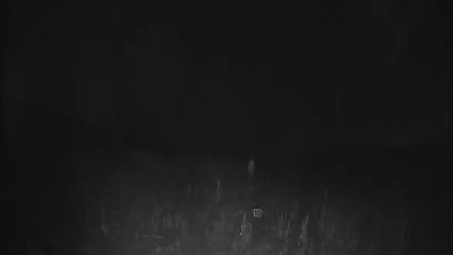 www.sferann.ru Пример работы камеры видеонаблюдения dvc d892 Ночь смотреть онлайн