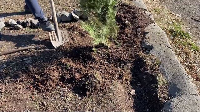 НЕВЕРОЯТНОЕ своими руками | Дилижан, Армения смотреть онлайн