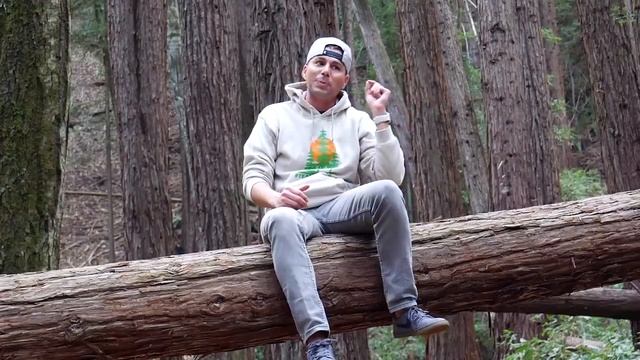 Mark Rober= Planting 20000000 Trees смотреть онлайн