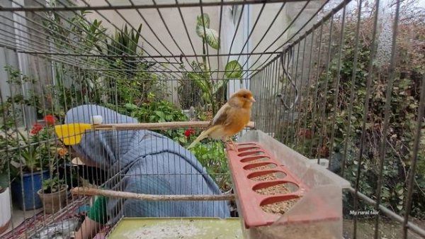 The most delicious potato recipe without egg | Perfect Lunch recipes