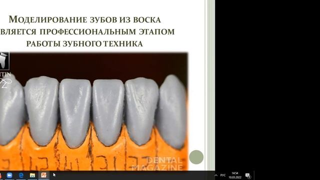 Учимся моделировать зубы (практикум) смотреть онлайн