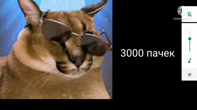Сколько продаётся пельменей: смотреть онлайн