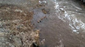 Весенняя разлившаяся маленькая река Бобровка )))