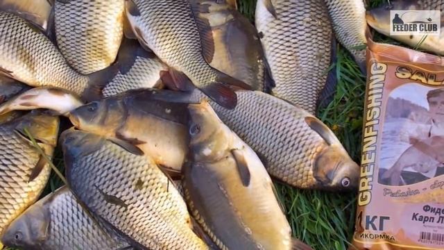 Ивановский пруд смотреть онлайн