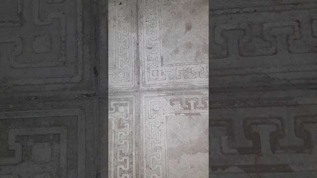 Паучок vs двухвостка 3 смотреть онлайн