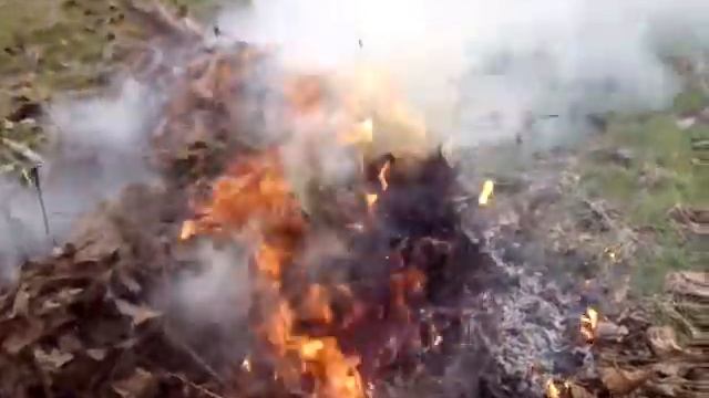 Костёр на даче смотреть онлайн