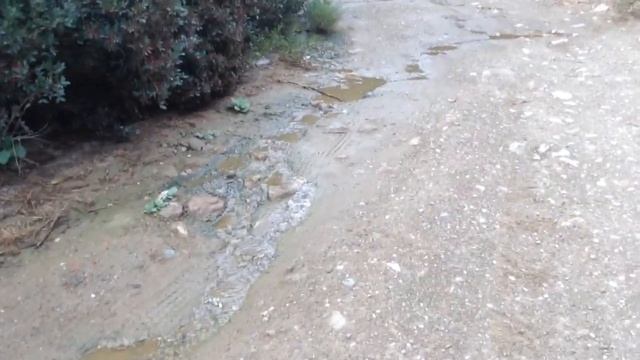 Палео кастро и его окрестности смотреть онлайн