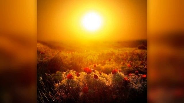 День летнего солнцестояния в 2023 году. смотреть онлайн