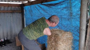 Как правильно сделать гнезда для мускусных уток