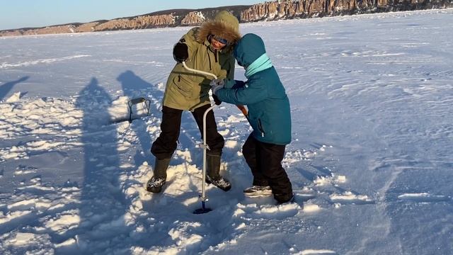 Рыба Верная