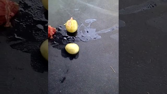 Opening a Coffee Cherry to Find the Coffee Beans смотреть онлайн