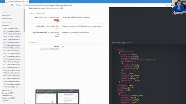 Azure Purview Rest API Sample смотреть онлайн