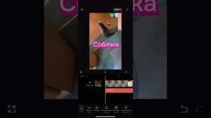 Тутор как убрать звук в капкуте с любого видео