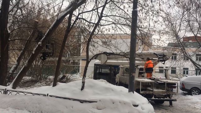 Спиливание дерева бензопилой на подъёмнике смотреть онлайн