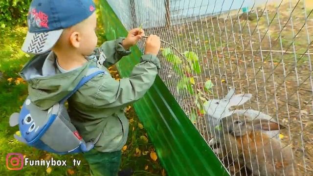 Миша на ферме ? ?? КОРМИМ ДОМАШНИХ ЖИВОТНЫХ, лошади, утки, кролики смотреть онлайн