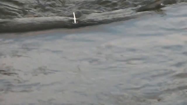 Как поймать крупного жереха ( Жерех и щука при одном забросе!)) смотреть онлайн