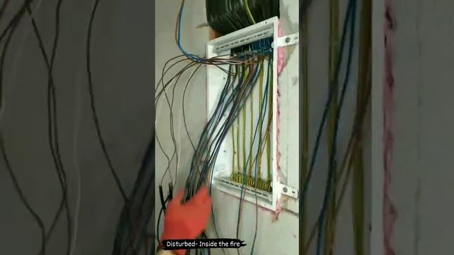 Цветочный воздух в вашей квартире