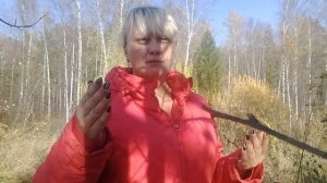 Козы или свиньи?! Что выгодней содержать для семейного бизнеса.