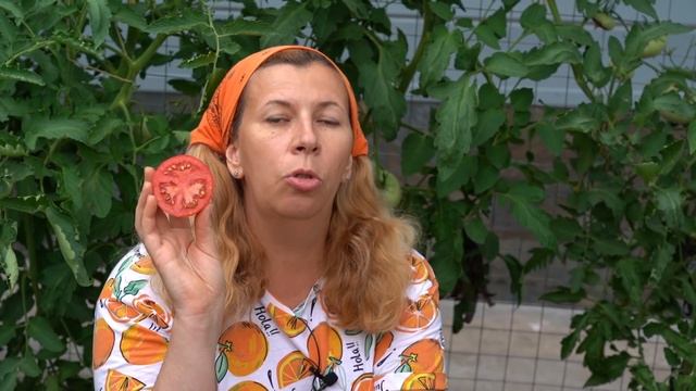 Лучшие томаты и перцы для раннего урожая смотреть онлайн