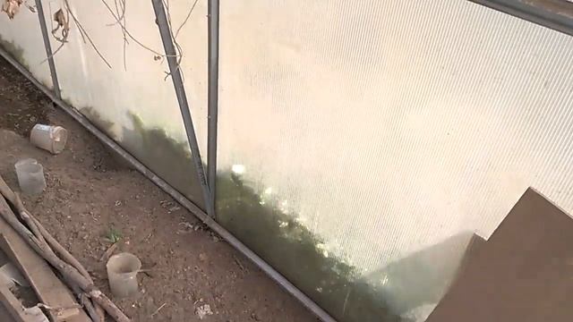 Покупной парник смотреть онлайн