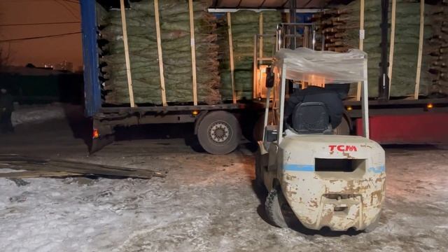 Разгрузка Пихты Нордмана маленького размера 2022