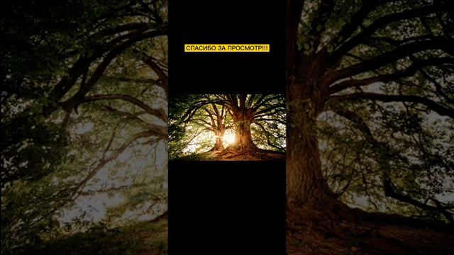 Как войти в инстаграм💕Решение проблемы⚡Смотрите описание🤗 смотреть онлайн