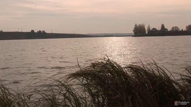 "Фидерист против карпфишера: кто кого" часть 1 смотреть онлайн