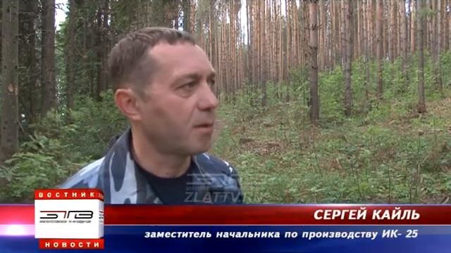 Жители Пушкинского поселка озабочены дорогой в лесном массиве смотреть онлайн