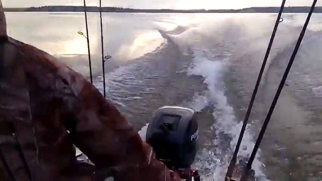 Салауши смотреть онлайн