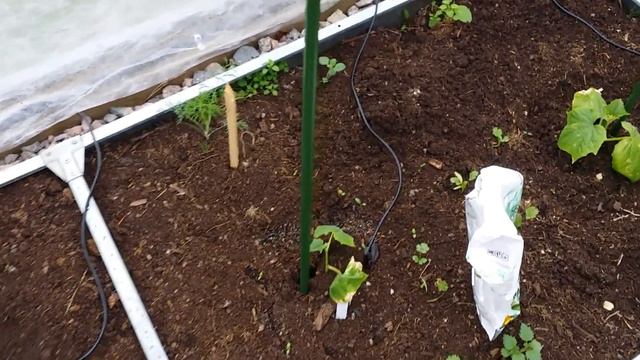 Отдыхаем хорошо)))Дача..лето..хорошо))06.06.20.-08.06.20. смотреть онлайн