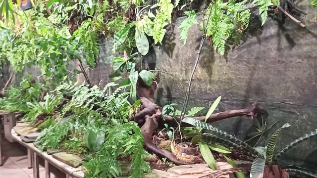 Коля в зоопарке. Ребенок 1 год и 5 месяцев зоопарке. смотреть онлайн