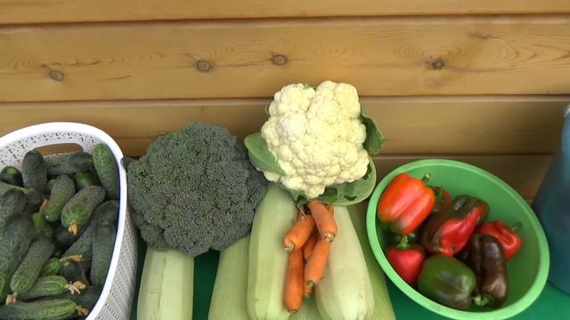 Огородные радости смотреть онлайн