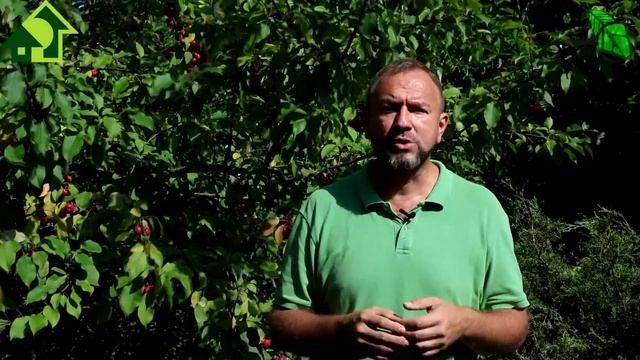 Шугаринг: нежность и гладкость безболезненно и эффективно