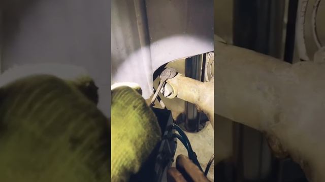 Царь зверей на замене саленблока смотреть онлайн