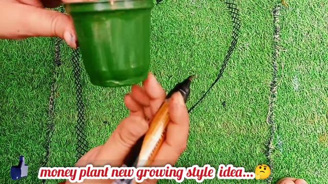 Money plant new growing style idea/Money plant decoration in living room/DIY money plant decoration смотреть онлайн